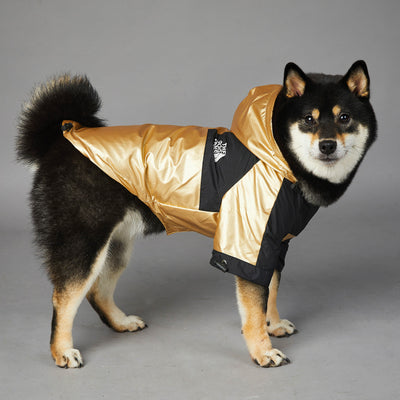 Dog Large Dog Raincoat Pet Jacket