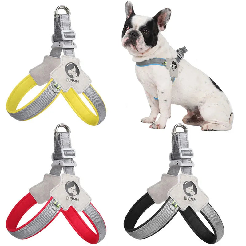Reflective dog chest strap harness for small dogs,
Adjustable puppy harness vest for Yorkies,
Soft padded cat and dog harness with leash,
No-pull reflective harness for small breed dogs,
Breathable pet vest harness for puppies and kittens,
Comfortable dog chest harness for Yorkies and Chihuahuas,
Escape-proof cat and small dog walking harness,
Lightweight and safe puppy training harness vest,
Durable reflective pet harness for nighttime walks,
Easy-wear dog harness with chest strap for small pets
