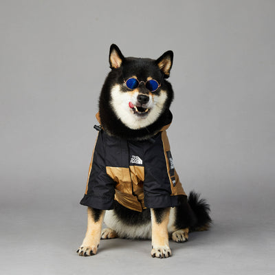 Dog Large Dog Raincoat Pet Jacket